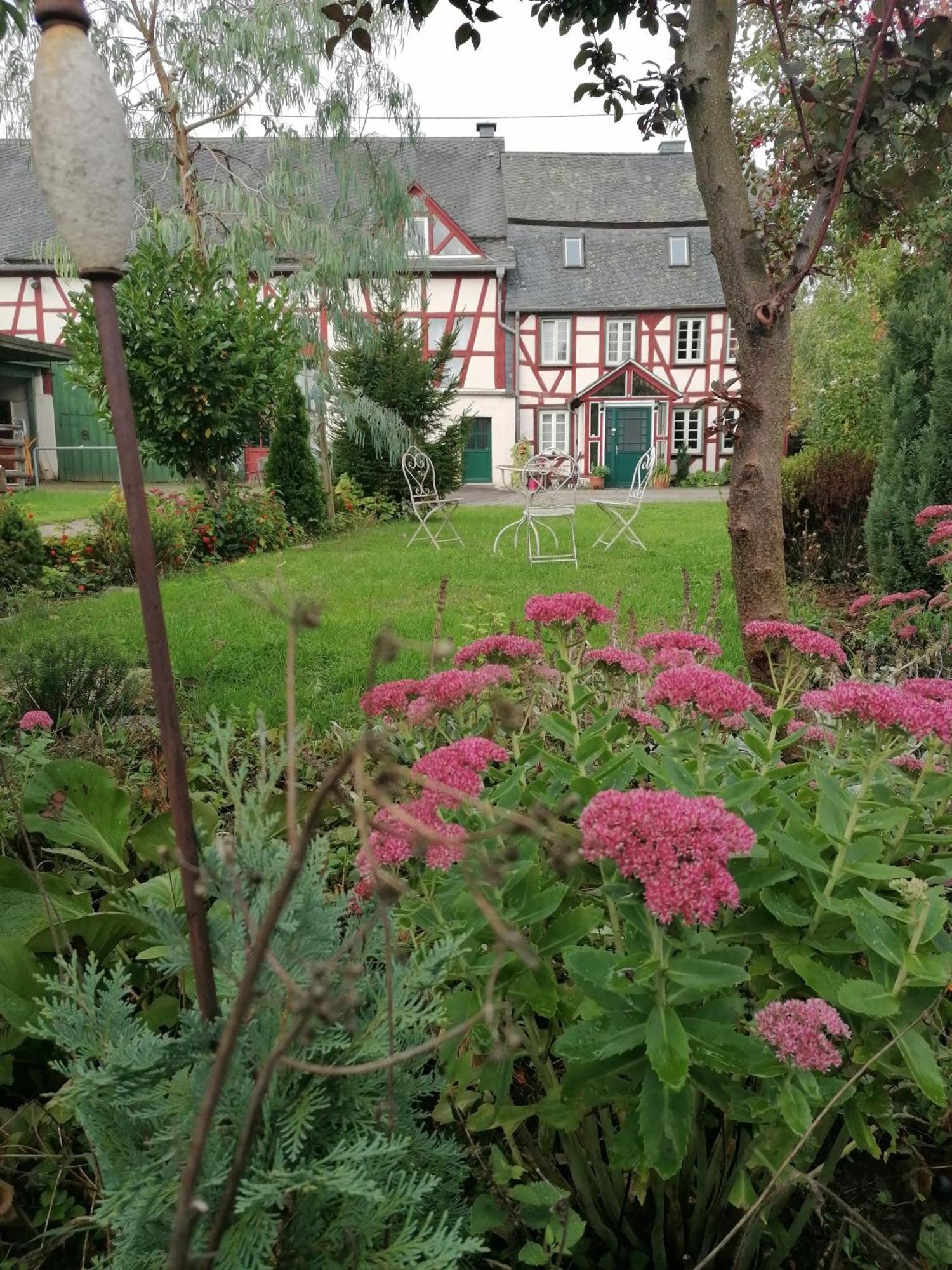 Hof Idarwald Apartamento Horbruch Exterior foto